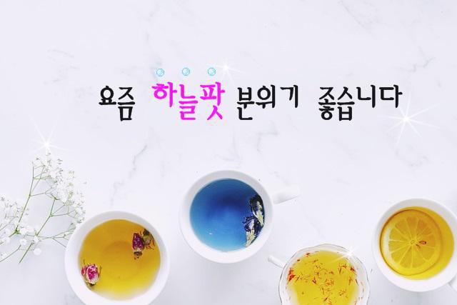 팟빵 어디까지 들어봤니? 하늘팟 시즌2 : 네이버 카페
 naver.me/xy5z9WHX
#하늘팟 #하늘팟시즌2 #팟빵 #인기팟빵 #바이블인사이드