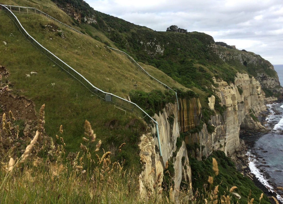 sketchbiologist's tweet photo. 1/4 #WSTC4 #ConsBio3 On a recent adventure for my @NatGeo fellowship, I abseiled down a 70-meter seacliff near Dunedin. There scientists are monitoring a hidden colony of fairy prions, elsewhere driven off the mainland by invasive mammals. @Forest_and_Bird https://t.co/aknuNb0LCg https://t.co/GlKUn8GJbe