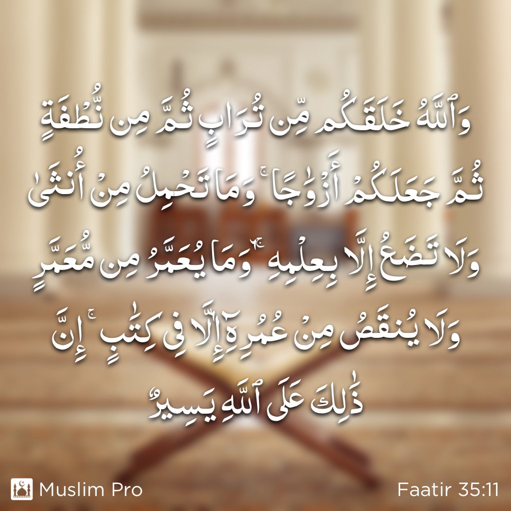 MuslimPro's tweet photo. 📖  Quote from the Holy Quran, Faatir (35:11), https://t.co/TCg6vXR1eL #MuslimPro #Quran #Inspiration https://t.co/rDvSkgUMBb