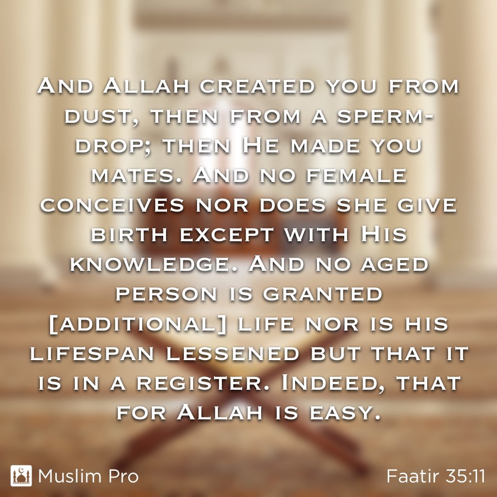 MuslimPro's tweet photo. 📖  Quote from the Holy Quran, Faatir (35:11), https://t.co/TCg6vXR1eL #MuslimPro #Quran #Inspiration https://t.co/rDvSkgUMBb