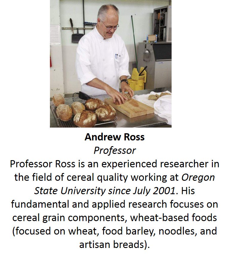 WheatInnovation's tweet photo. Professor Andrew S. Ross talking about “Make Wheat Attractive: Increased End-use Quality, Novel Foods and Use of Wheat”
Register at https://t.co/1iErXZLaGw …
@SDSUAgBio @WheatFoods #wheat #sdstate #sdwheat #wheatsd https://t.co/4ehkh8aSrV