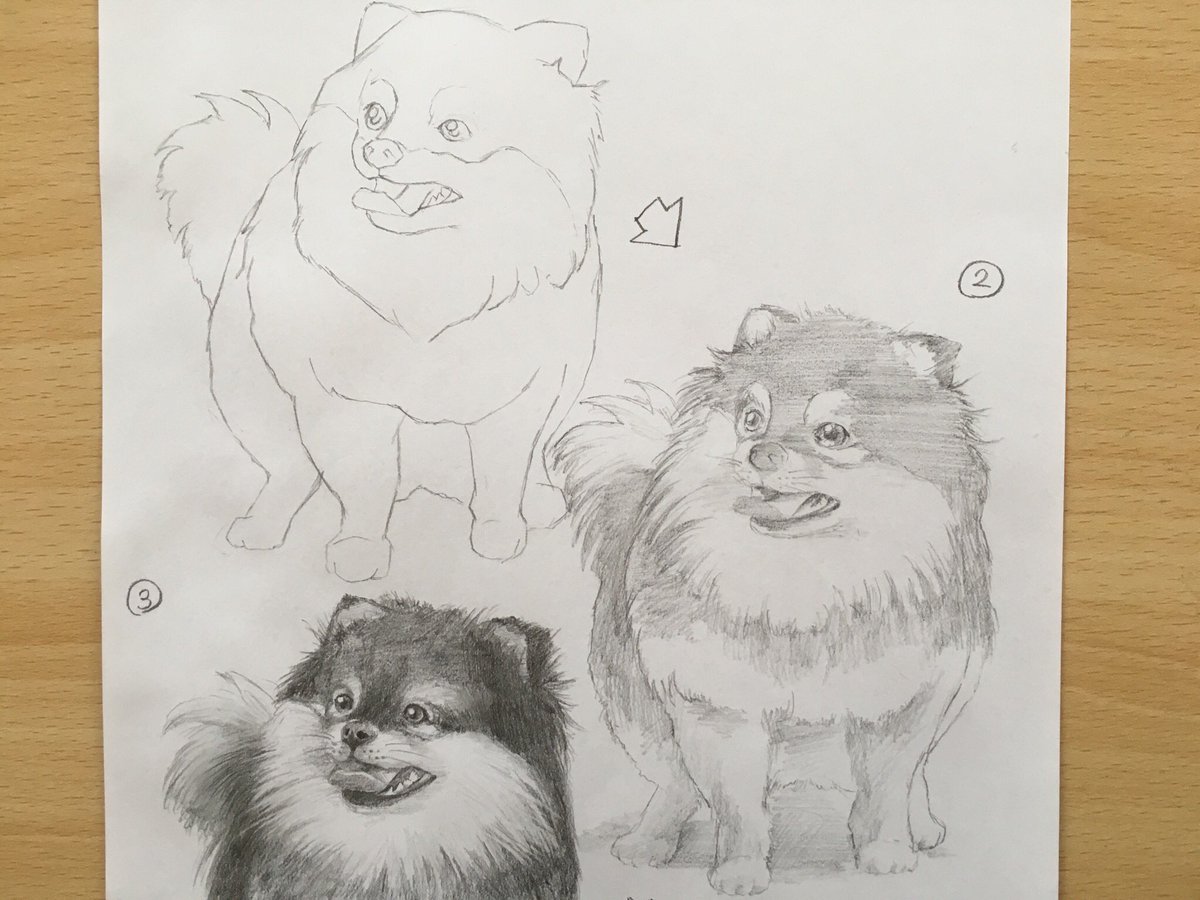 Atelier K A Twitter 描き方シリーズno 5 Step1 2 犬 犬好きさんと繋がりたい アート Dog デッサン お絵描きさんと繋がりたい