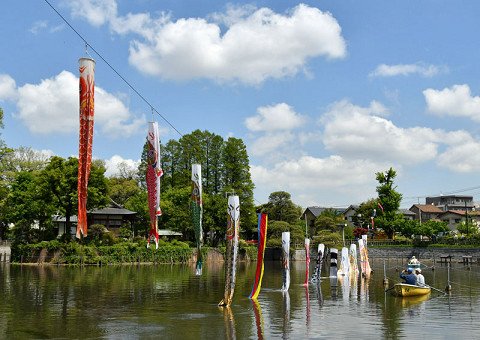 目黒区広報課 本日 碑文谷公園の弁天池で鯉のぼりの飾り付けが行われました 爽やかな五月晴れの下 鯉のぼりが元気に泳いでいます お近くにお越しの際はぜひご覧ください Meguro 目黒