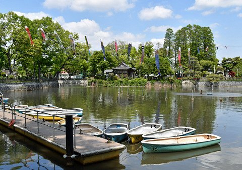 目黒区広報課 本日 碑文谷公園の弁天池で鯉のぼりの飾り付けが行われました 爽やかな五月晴れの下 鯉のぼりが元気に泳いでいます お近くにお越しの際はぜひご覧ください Meguro 目黒