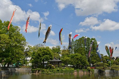 目黒区広報課 本日 碑文谷公園の弁天池で鯉のぼりの飾り付けが行われました 爽やかな五月晴れの下 鯉のぼりが元気に泳いでいます お近くにお越しの際はぜひご覧ください Meguro 目黒