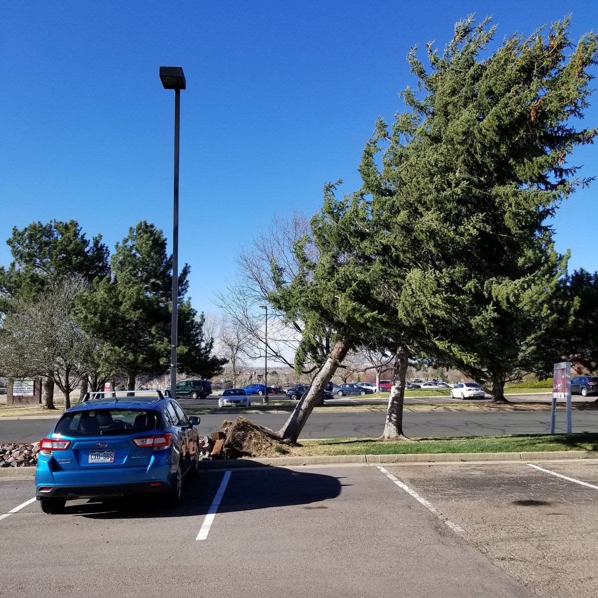 JTHayworth1's tweet photo. #windy #Denver #weather https://t.co/NfFfgM24f9