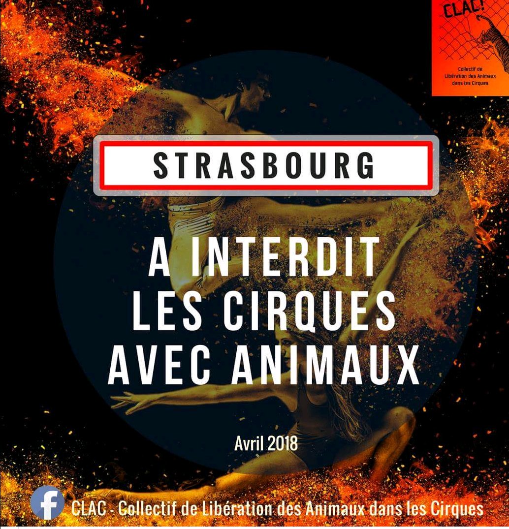 quelle excellente nouvelle #Strasbourg #Alsace BRAVO