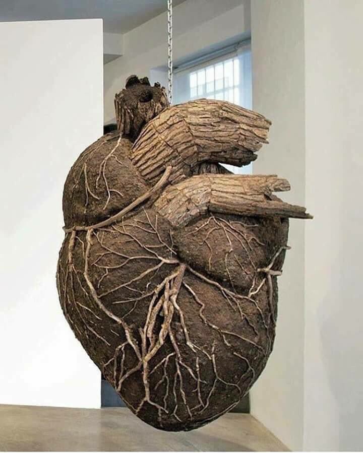 ahmedavnibey's tweet photo. Bir ağacın dalı kuruduğu vakit kök onu telafi eder ve ağaç yeniden dallanır. Ve eğer kök çürüyüp bozulmuş olursa, ağacın tamamı helâk olur. https://t.co/jIPw5gqBLl
