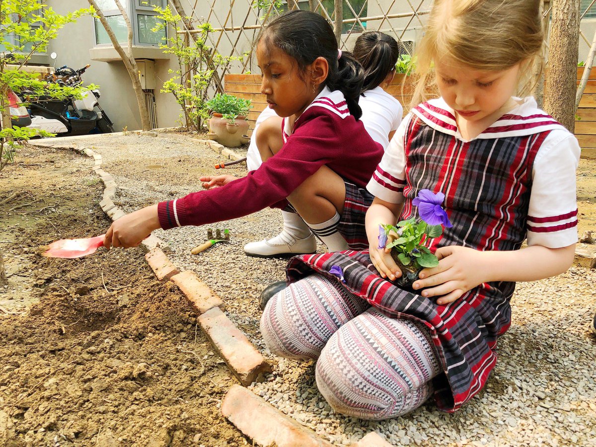 I love #myCISB’s annual tradition of planting flowers with #RootsandShoots to celebrate #EarthDay! <a href="/jennyjiang225/">Jenny Jiang (she/her)</a> <a href="/sarajmalcolm/">Sara Malcolm</a>