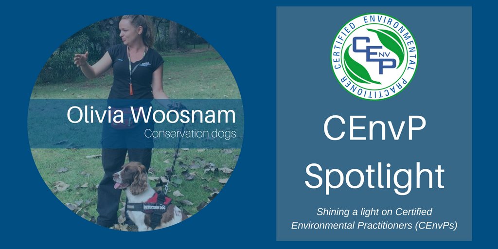 CEnvP Scheme tweet media