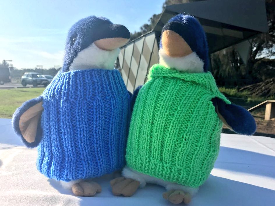 JaalaPulford's tweet photo. The @PhillipIslandNP Penguin Parade $58 million redevelopment is underway. 620 new tourism jobs, 200 jobs in construction with massive local content, apprentices, trainees, cadets. The space between these cute guys in the jumpers shows what the facade will look like. #springst https://t.co/P5d0nqGySe