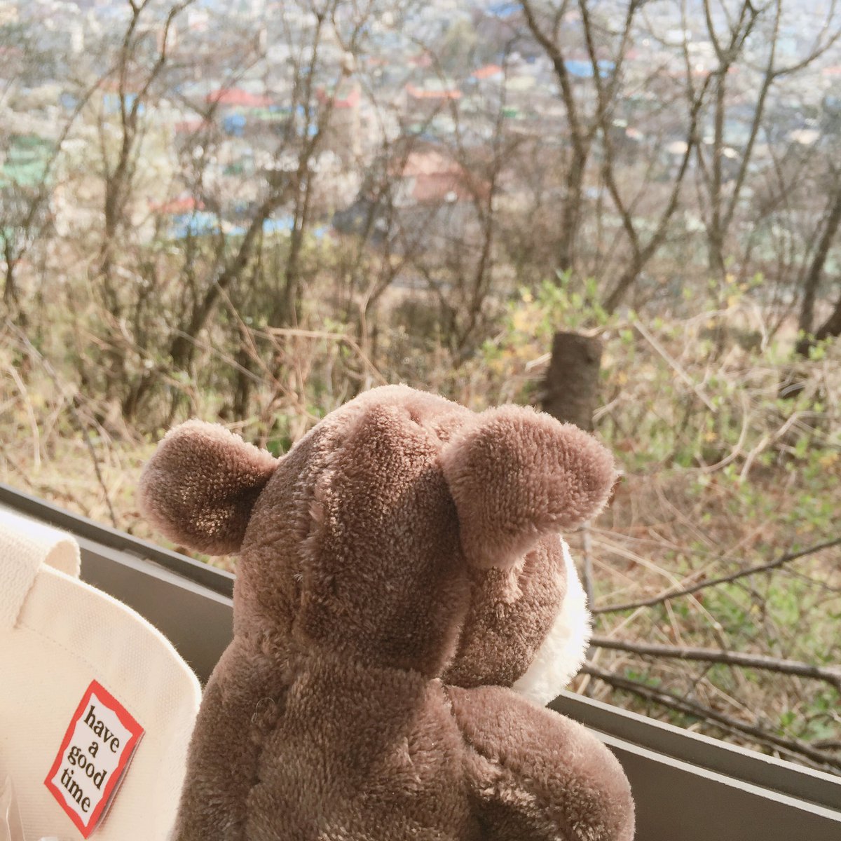 SunnnnnBelllll's tweet photo. 새로운 친구.... 이름은 구름 성은 먹
갈색처럼 나왔지만 
원래 색은 까만.....멍멍이
같이 산책했다 https://t.co/LEPY6ylnzH