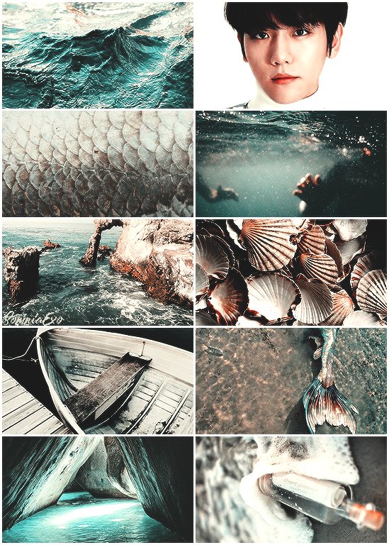 somniaexo's tweet photo. Merman Baekhyun (for anon)
#somniaexo #EXO #moodboard #adminInari #Nyx @weareoneEXO https://t.co/HoKEggO7eF https://t.co/pTkkAMhOte