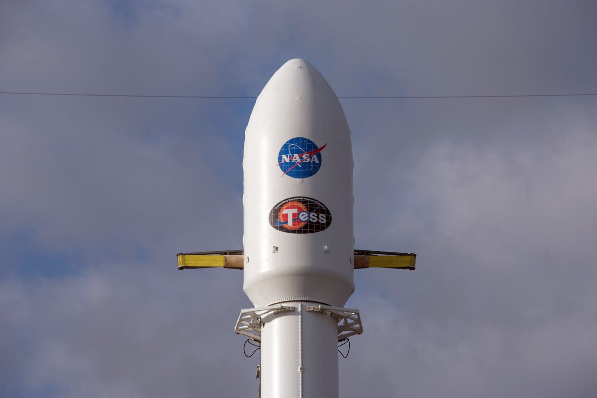 (image)