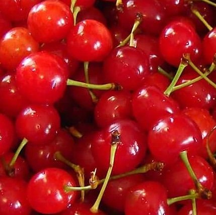 ScorpionBrewing's tweet photo. Tonight (Thursday) Tart Cherry Porter 4-8pm. see you then! #cherryporter #scorpionbrewing #beer #beerbiz https://t.co/mlPfX5gLg1