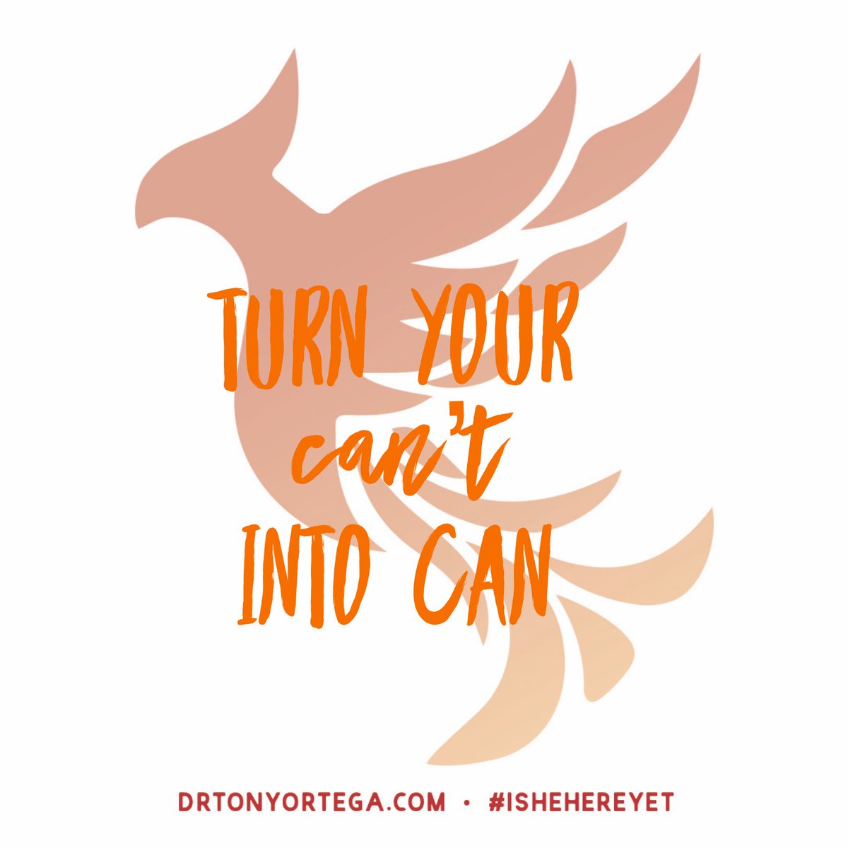DrTonyOrtega's tweet photo. The more you say you can’t you won’t. Turn your can’t into can. #Gayman #GayManGuy #gaymanga #gaymann #gaymantravels #gaymanlove #gaymannequin #gaymanchesterboy #gaymanchat #gaymanchester #gaymantinence #gaymansdream #gayman #Gaymanly #gaymanschristmas #gaymanwithbeard https://t.co/WkrAoA5Mjt