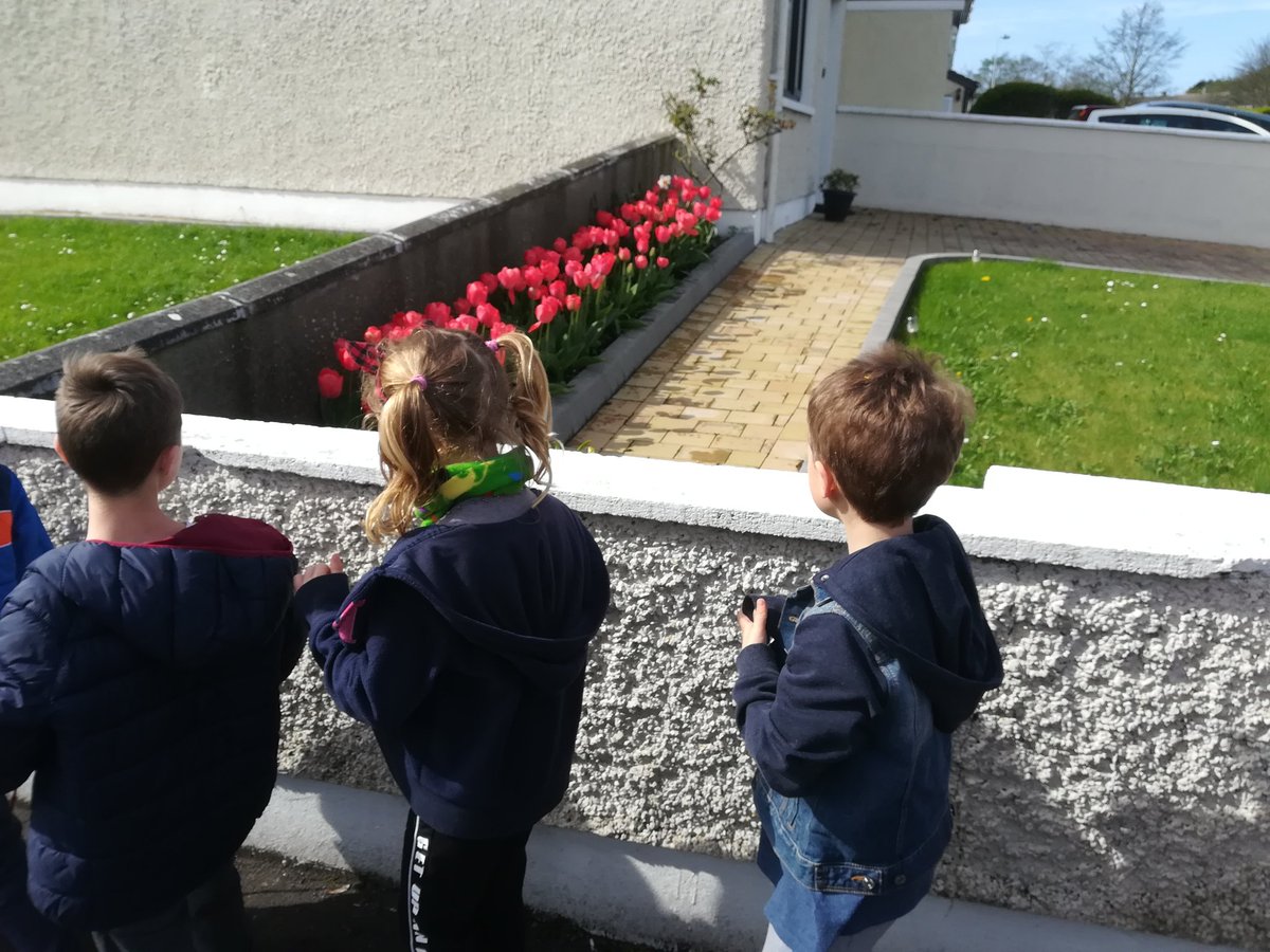 getns2nd's tweet image. The sun is shining for our walk to the library today! 😎🌷🌞👌 #WestsideLibrary @getns2nd