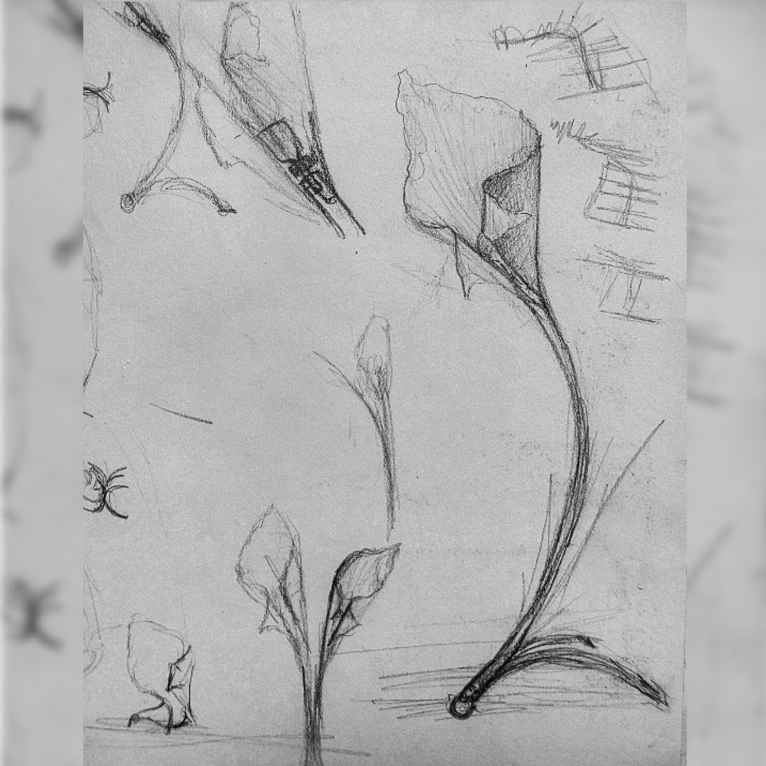 OHolmanDesign's tweet photo. Early concept drawing for the Lily Lamp now to make a large version. #contemporarylighting #sketching #innovation #sketchideas #pencil #sculptural #ollieholmandesign #lilylamp #imadethis #sculpturaldesign #sculpturallighting #rusticinterior  #highenddesigner #handmadeinbritian https://t.co/D1H8EtYP5U
