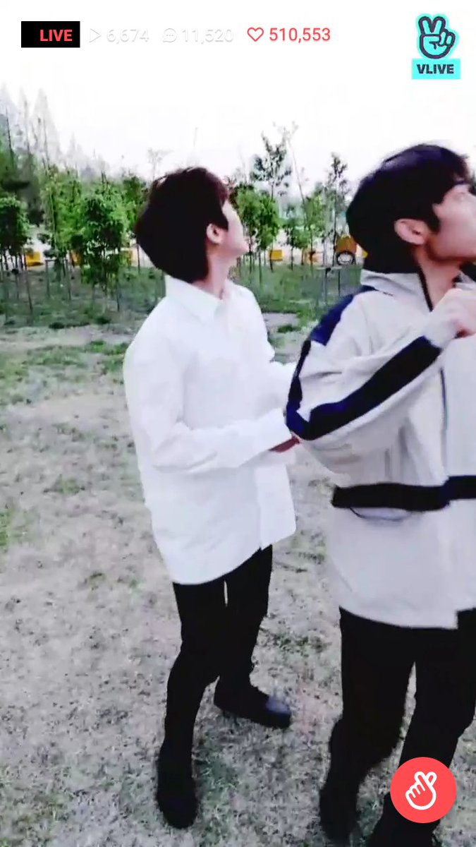 309hwall's tweet photo. making a chaos over mosquitoes 😂😂😂 https://t.co/fuukTwJRf3