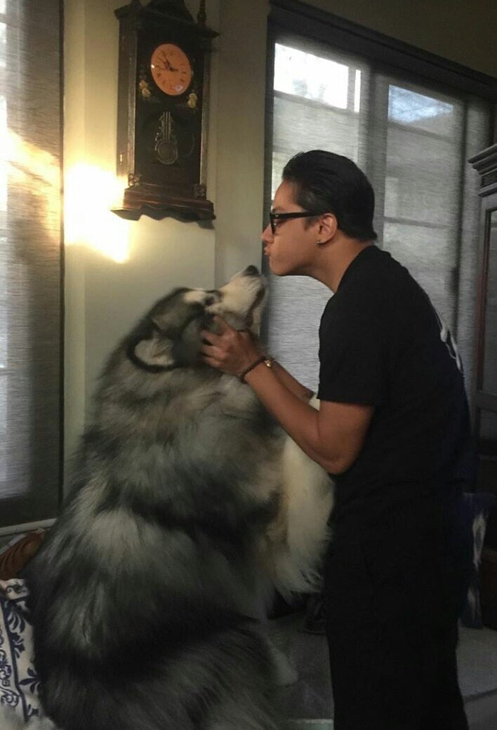 _missbeatriz_'s tweet photo. AY SHET ITULAK NA SI DANIEL KAY MALIA 😂 https://t.co/Wci5LBCPb6