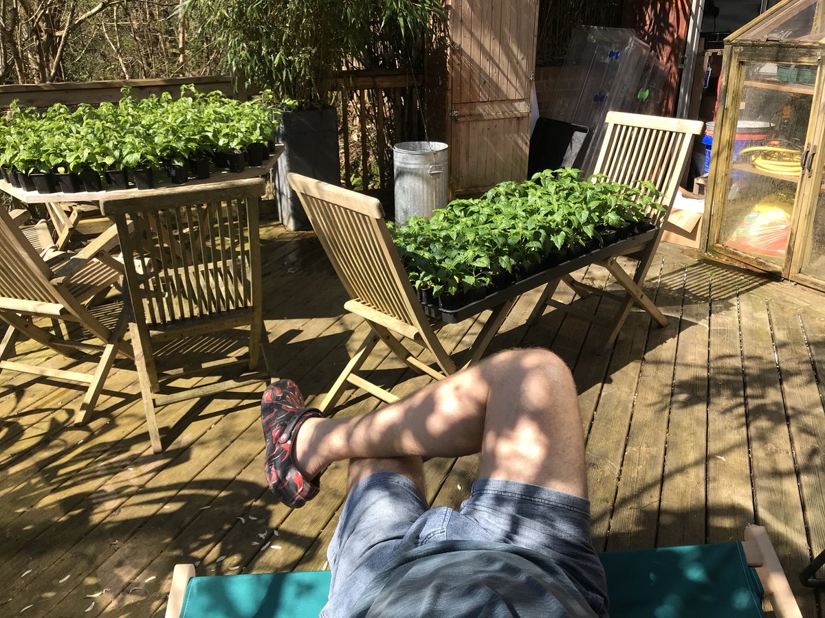 DevonChilliMan's tweet photo. #chillilife &amp; soaking up that glorious #devon #sunshine 😍Now this what I’m talking about ☀️☀️☀️☀️☀️☀️💪 thought I’d best try out my CANNA UK #deckchair 🤪 hope I don’t nod off 😂😂😂 #chilli 
@Crocs 😘
#devonscapedchillicrusader #Devonchilliman #ifitainthotitaintdcm https://t.co/S36xgLk1Zf