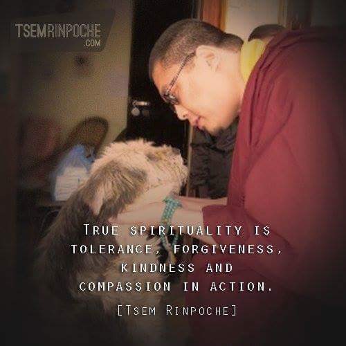 Kriskoh14's tweet photo. #TsemRinpoche
#Buddha
#Spirituality
#Art
#Travel
#Love
#Life
#Paranormal
#Food
#People
#Religion
#Inspiration
@tsemtulku 
@MartinMKC https://t.co/2rX3tMGKKZ