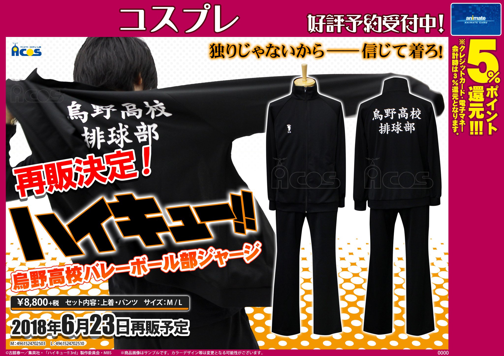 ハイキュー ジャージ 公式 ACOS 青葉城西 Lサイズ アニメイト
