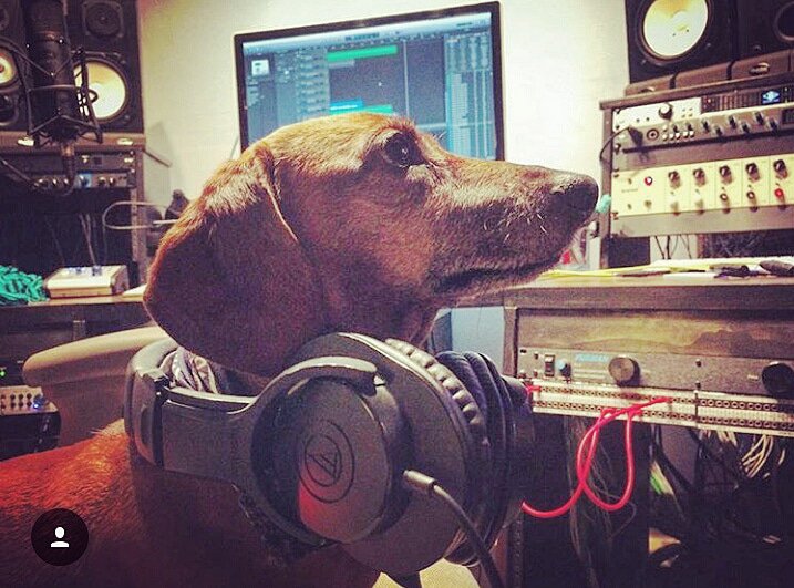 FLUXHIMSELF's tweet photo. #anotherhardday #fixitinthemix #bestears #icanheareverything #hardatwork #allesfürdendackel #newalbum #newrecord #ilovemyjob https://t.co/bJu7GZqED2