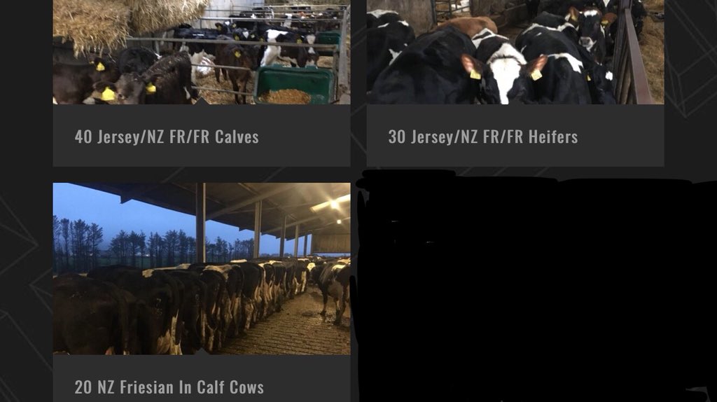 Have decided to cut stocking rate across the whole farm following all this wet weather. Selling 20 cows, 30 maiden heifers and 40 heifer calves on <a href="/GrasstecLtd/">Grasstec Ltd</a> website. AI bred,milk recorded high EBI stock. Retweet’s appreciated