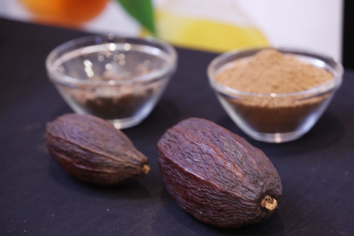 dietamed's tweet photo. Preparando la Sesión 4: Cacao y productos lácteos en la Infancia. Evidencias científicas. #congresodietamediterranea #mediterraneandietconference2018 #mediterraneandietandkids #dietamediterranea #thealimentariahub #alimentaria2018 https://t.co/k9NpEKnhi3