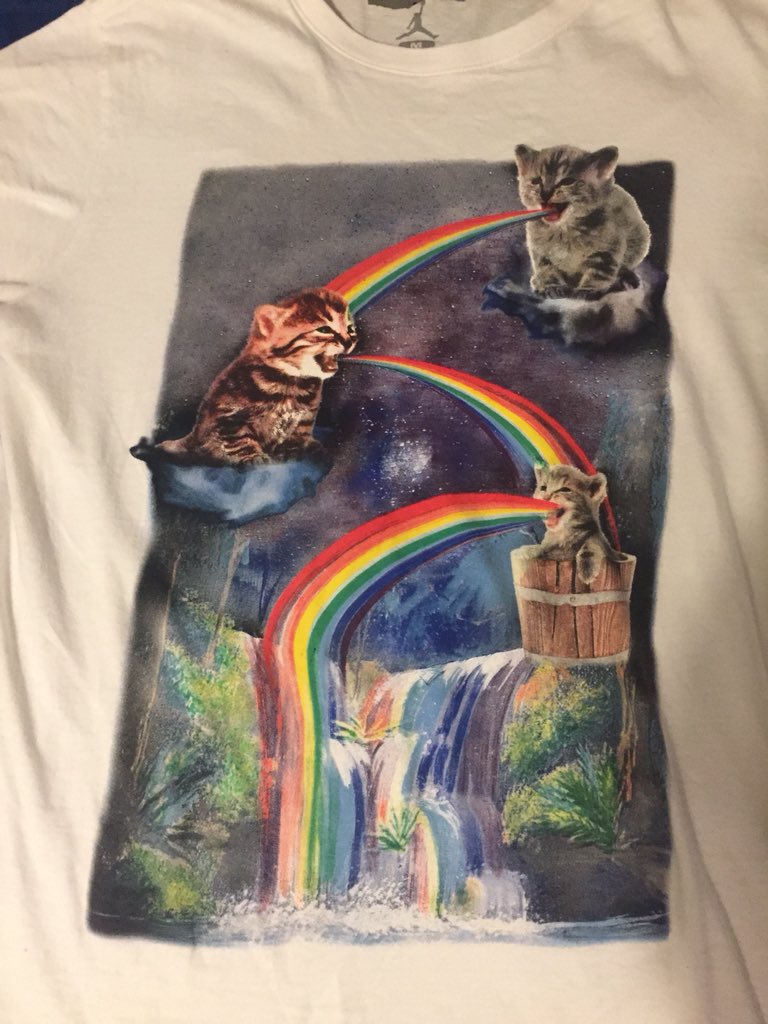 weird cat shirt