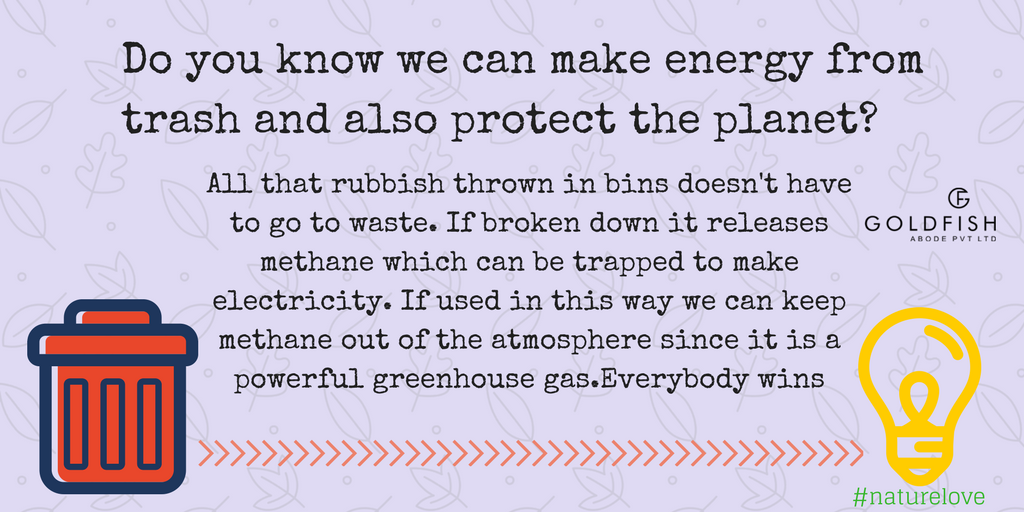 GoldfishAbode's tweet photo. “What is the use of a house if you haven't got a tolerable planet to put it on?” BE NATURESPONSIBLE!!!🌿☘️🌎 #ThursdayThoughts #ThursdayMotivation #globalwarmingisreal #savetheplanet #Facts @GoldfishAbode https://t.co/LvxqjP9CwZ