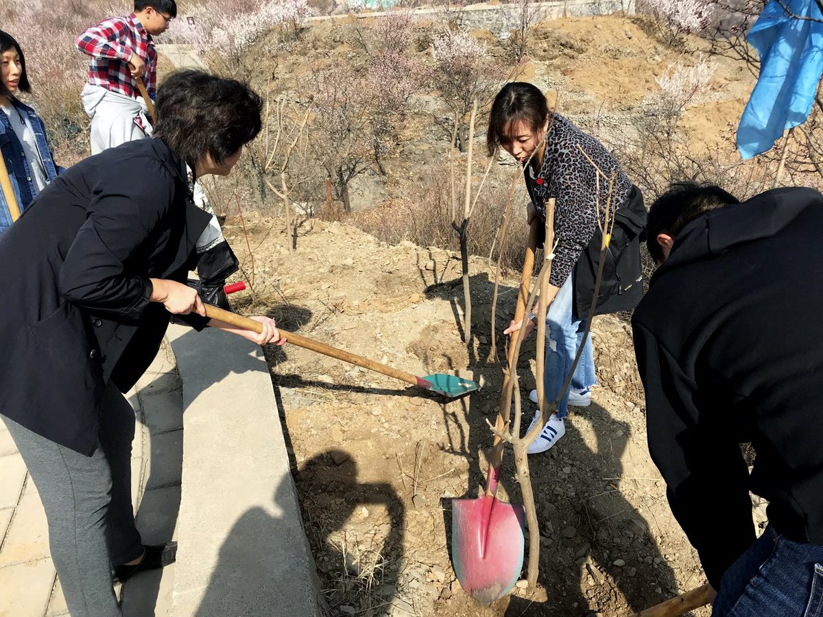 The staff from Absolent China recently volunteered in the ongoing tree-planting project in Beijing, China.  -The project gives us an opportunity to contribute to a cleaner world outside of the factories, says Andreas Johansson, President Absolent Asia Pacific.