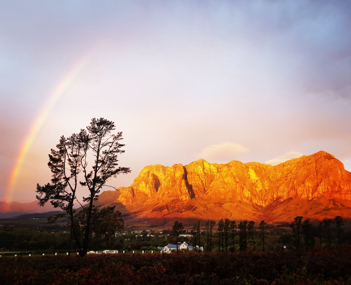 Cafe Pavè tweet media