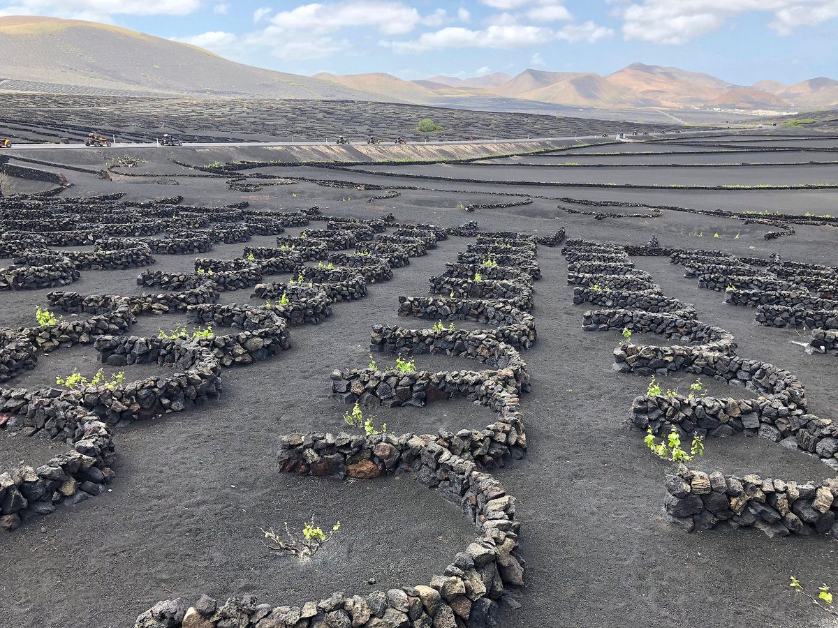 matkailublogit's tweet photo. LANZAROTE. Lähellä Timanfayaa sijaitsee ehkäpä yksi Lanzaroten kuvauksellisin paikka. La Geria on Lanzaroten viininviljelyn keskuksia ja täällä viiniä viljellään vulkaanisessa maassa varsin erikoisella tavalla. https://t.co/iXHQ6yXnM5 https://t.co/fcvPJGV4pL