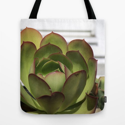 RandomOasis's tweet image. New Listing: Red and Green Succulent Photo Tote Bag, Unfolding Landscape Desert Photograph by RandomOasis, ift.tt/2bgBdTb