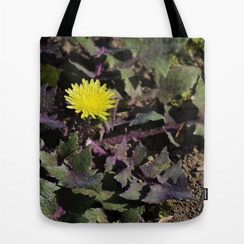 RandomOasis's tweet image. New Listing: Yellow Dandelion Photo Tote Bag, Nature Photograph, Floral Fireworks 3 by RandomOasis, ift.tt/2aKWWpK