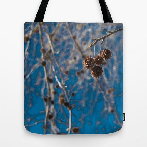 RandomOasis's tweet image. New Listing: Sweetgum Pods Photo Tote Bag, Under the Sweetgum Tree Nature Photograph by RandomOasis, ift.tt/2aKWWpC