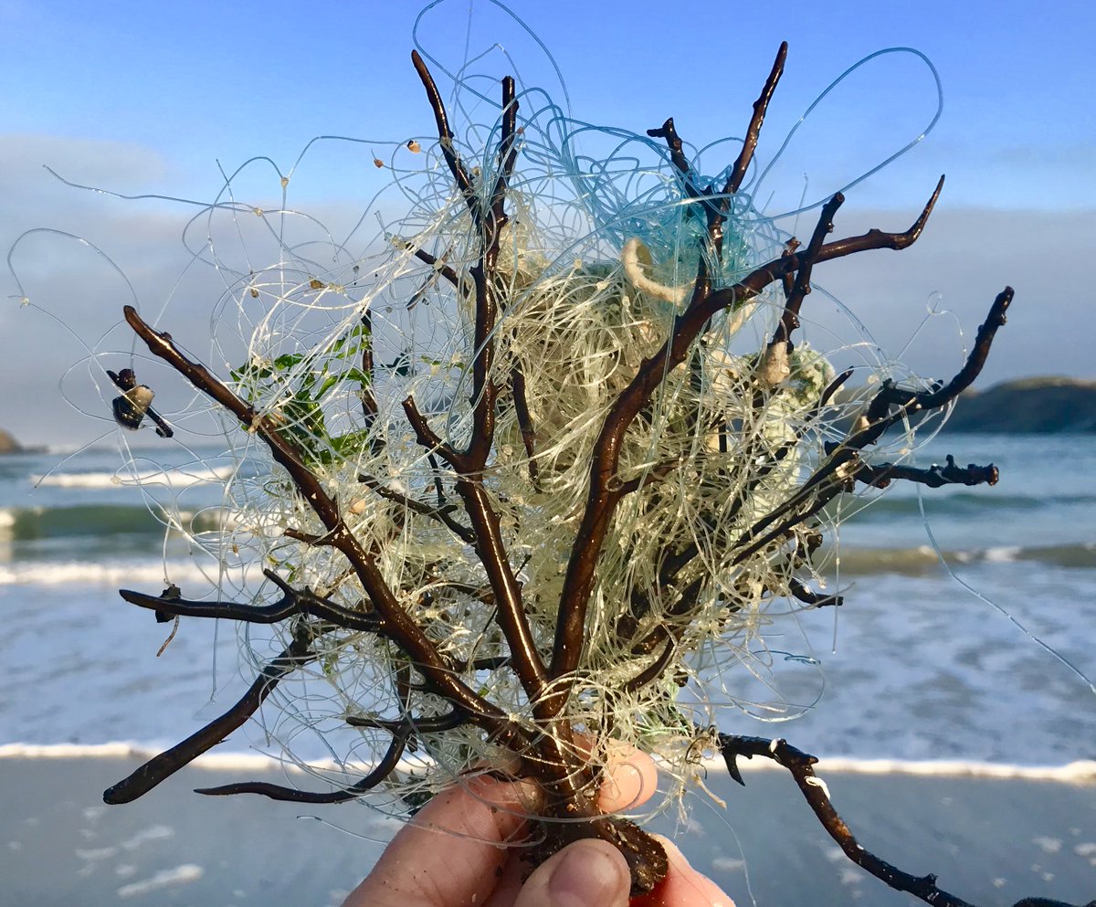 PINK SEA FAN tweet media