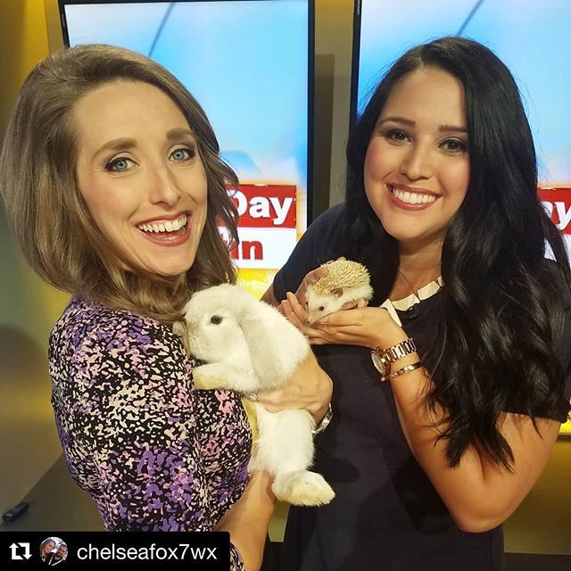 TinyTailstoYou's tweet image. Bunny Bliss 🐰
.
.
.
#newsworthy #austincute #atxfun #hoppyhour #handfulofhedgehog #happyinaustin #atxnews ift.tt/2HcnPTG