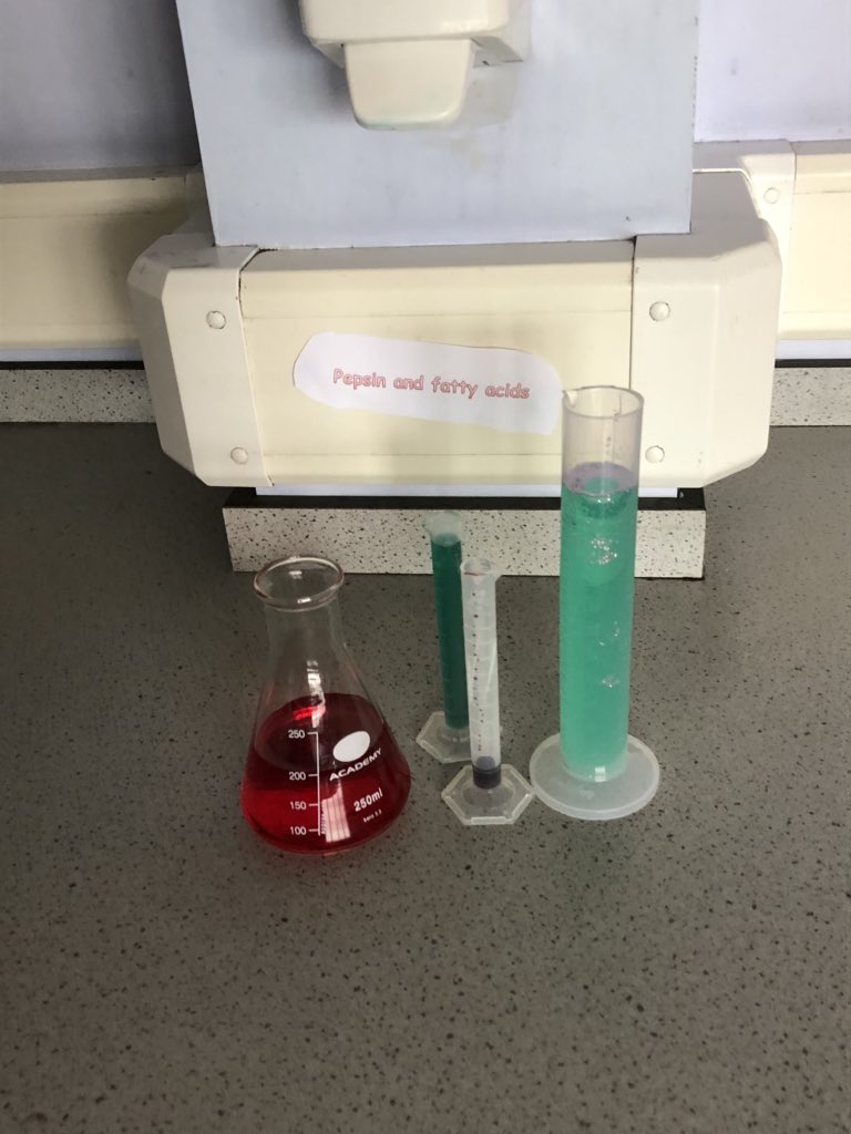 Springburn_sci's tweet photo. Today Mr Martinโs n5 will be using their problem solving skills to find the treatment to a deadly virus! #problemsolving #nat5 #curethevirus #escaperoomstyle https://t.co/XhtH5xu3D1