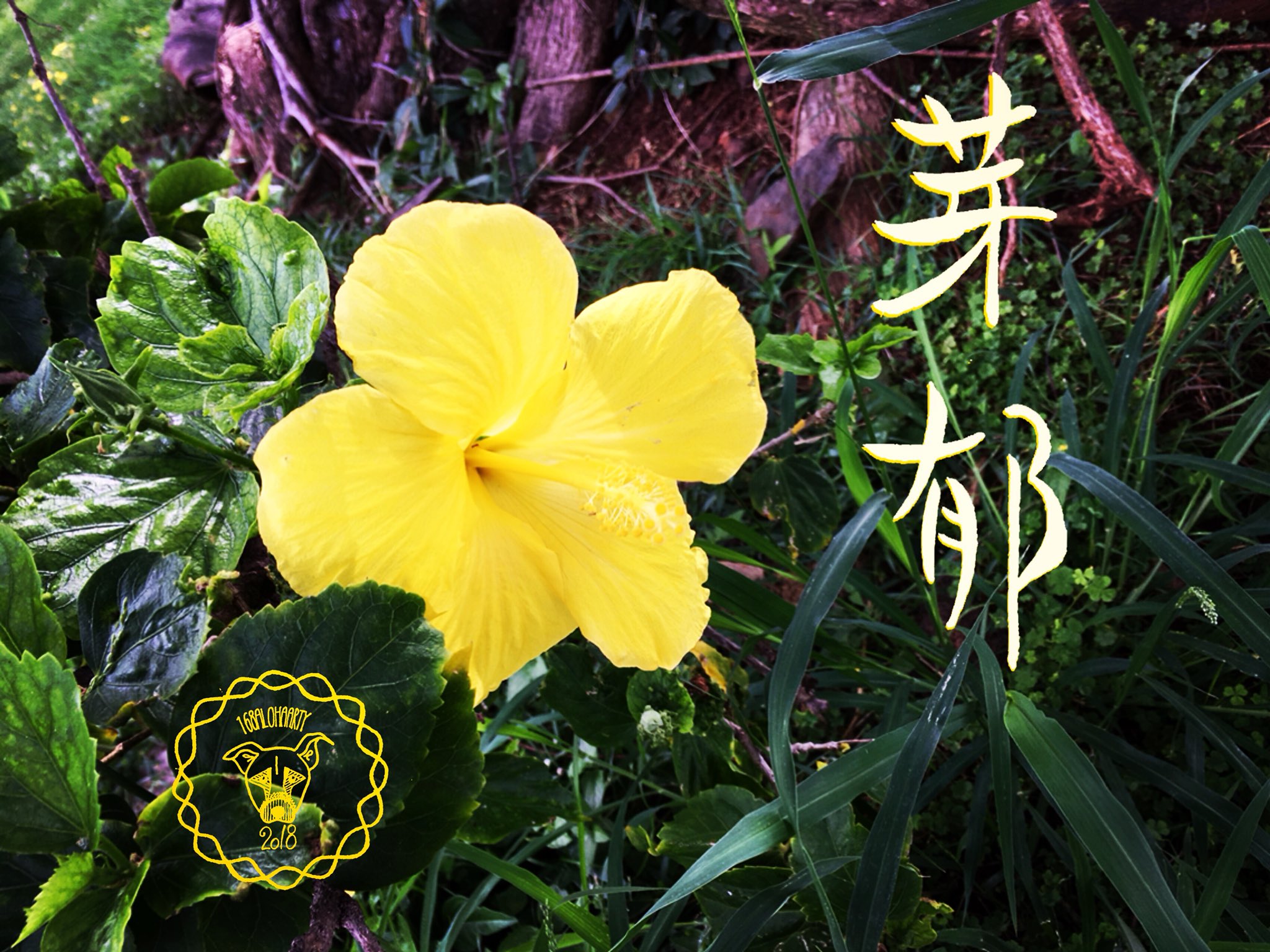 168alohaarty ハワイで書 芽郁 朝ドラ鈴愛役の永野芽郁さん 可愛いですね Aloha アロハ Hawaii ハワイ Japanesecalligraph 書アート 筆文字 Mojisutagram 文字スタグラム Japanesename Girlname 女の子の名前 Cutename 可愛い名前 永野