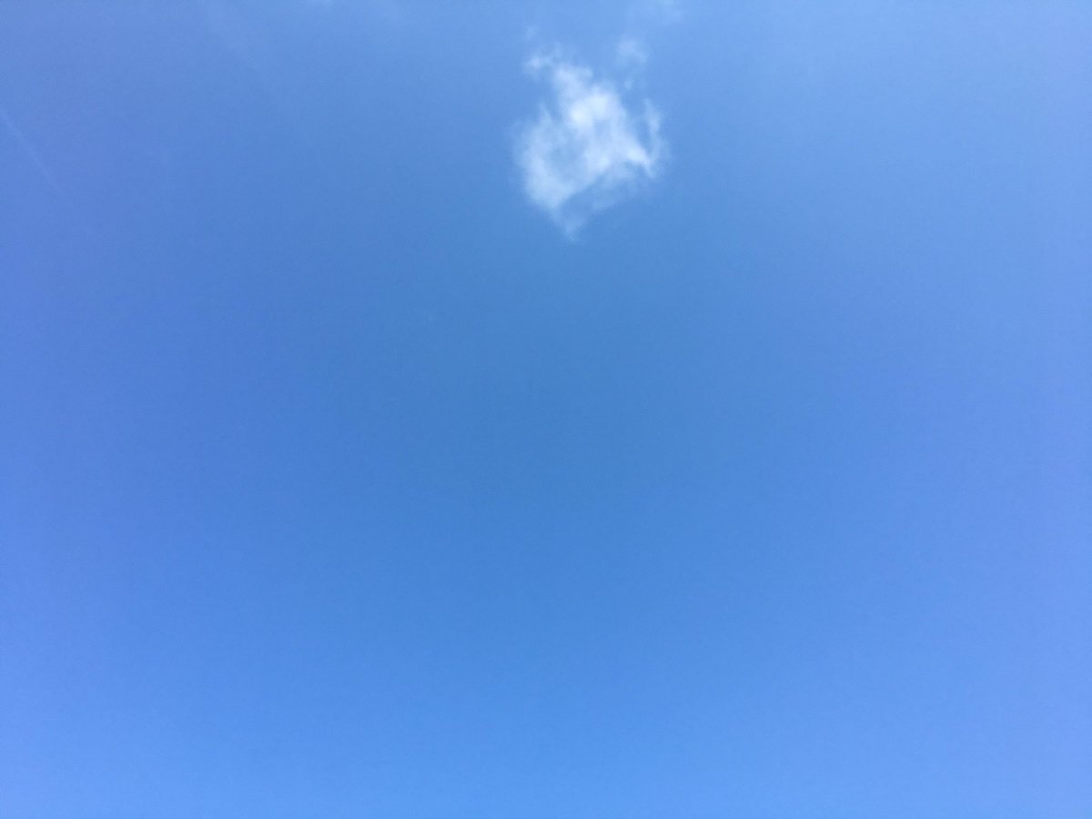 tamsamsonpt's tweet photo. The sun is shining, the sky is blue. Lovely day to be training my clients preparing for an amazing summer ☀ https://t.co/3yCkJlMKr1
