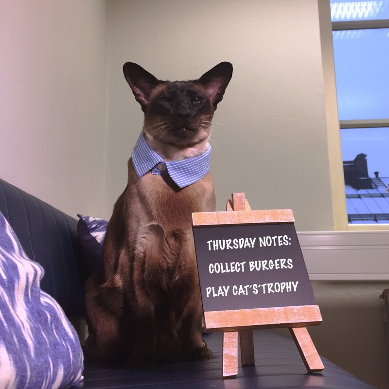 Cat_S_trophy's tweet photo. Thursday reminder πΊ
#VisibleRealms #CatSTrophy #gamedev #indiedev #indiegame #tutorial #VRgame #VR #Oculus #GearVR #CatsToVR #VRgaming https://t.co/LYnCA8jdAo