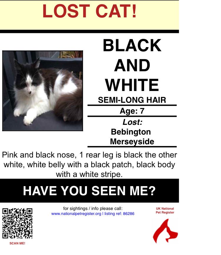 vjh0711's tweet photo. @WIRRALGLOBENEWS please can you share, my cat has been #missing for over 48hrs in #Bebington and we desperately want him home. Microchipped but no collar. https://t.co/AdTTJL2otB