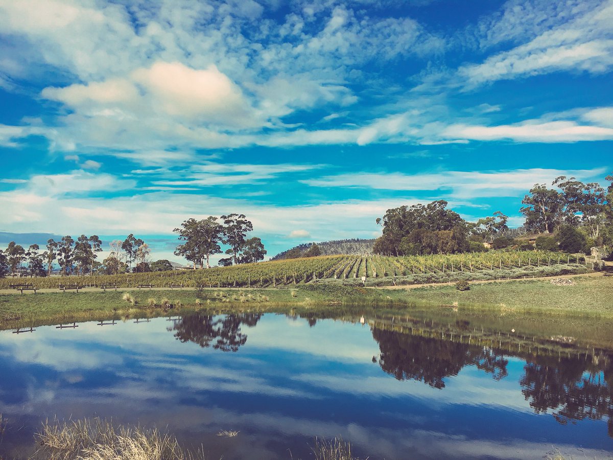 Olivia Hicks (@oliviaghicks) on Twitter photo One of the oldest wineries will throw open its doors to the public this weekend for a very special event. Domaine A in the Coal River Valley was recently purchased by <a href="/monamuseum/">Mona Museum</a> <a href="/Moorilla/">Moorilla</a> and the event will celebrate the next chapter for the historic winery. <a href="/WINNews_Tas/">WIN News Tasmania</a> One of the oldest wineries will throw open its doors to the public this weekend for a very special event. Domaine A in the Coal River Valley was recently purchased by <a href="/monamuseum/">Mona Museum</a> <a href="/Moorilla/">Moorilla</a> and the event will celebrate the next chapter for the historic winery. <a href="/WINNews_Tas/">WIN News Tasmania</a>