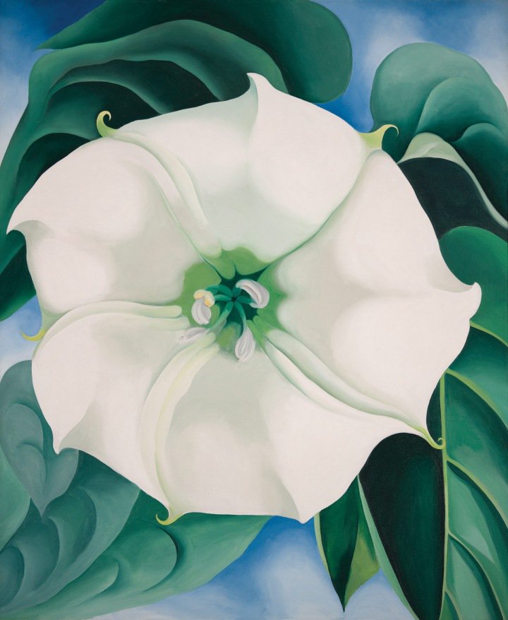 WOMENSART on Twitter O'Keeffe holds the record for the