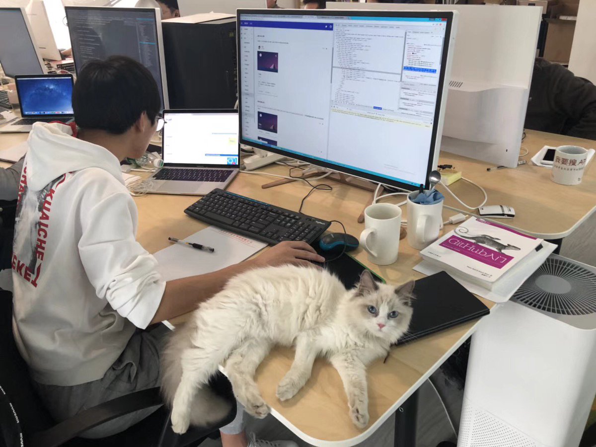 Do you wanna a cat pad？ come and join aelf.
