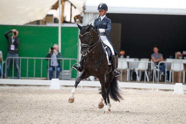 Dressuur: Fanny Verliefden &amp; Indoctro vd Steenblok staan hun mannetje in Aken <a href="/DressuurVerwimp/">dressuurstalverwimp</a> 💪😎 belgian-warmblood.com/NL/nieuws/dres…