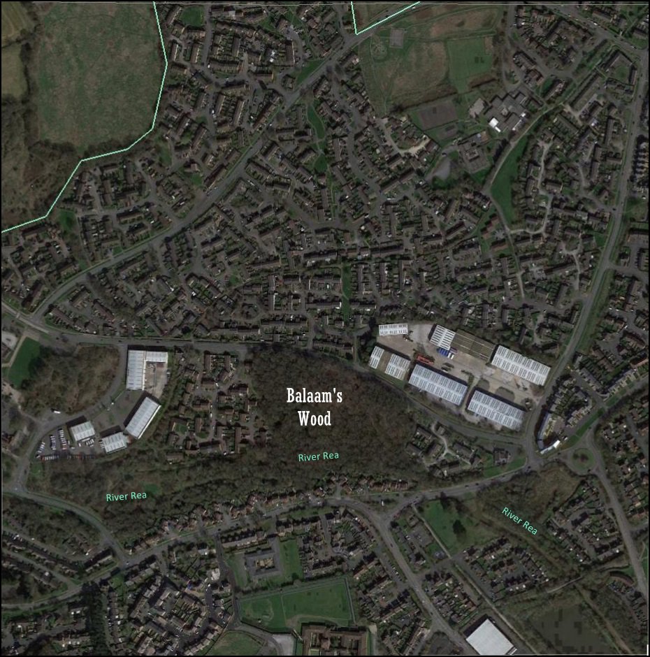 EcoRecording's tweet image. Today we're visiting Balaam's Wood - an ancient woodland located in the southernmost tip of Birmingham - with @bbcbotsoc